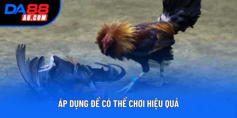Áp dụng để có thể chơi hiệu quả Áp dụng để có thể chơi hiệu quả
