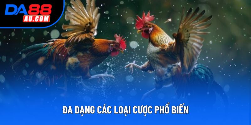 Đa dạng các loại cược phổ biến Đa dạng các loại cược phổ biến