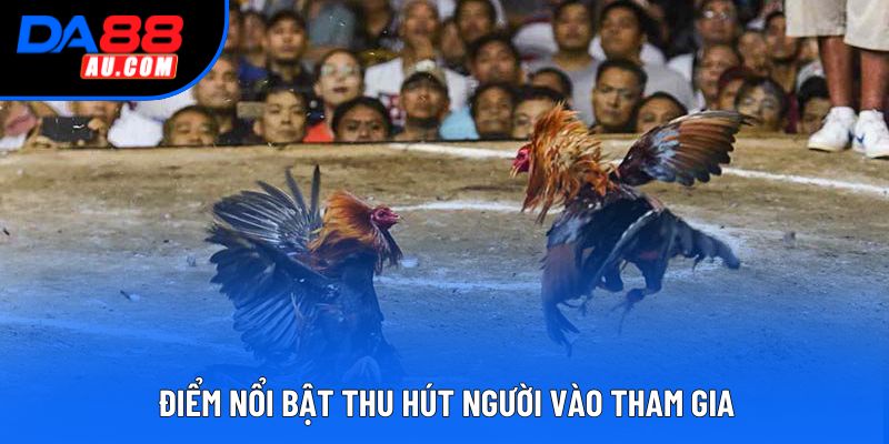 Điểm nổi bật thu hút người vào tham gia Điểm nổi bật thu hút người vào tham gia