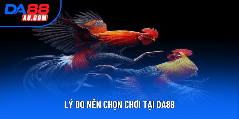 Lý do nên chọn chơi tại DA88 Lý do nên chọn chơi tại DA88