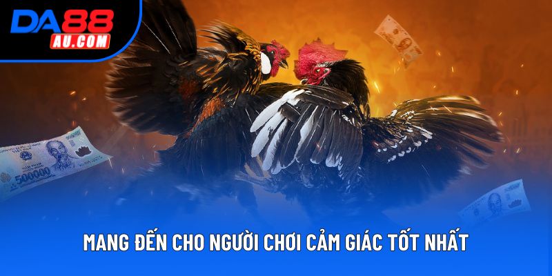 Mang đến cho người chơi cảm giác tốt nhất Mang đến cho người chơi cảm giác tốt nhất